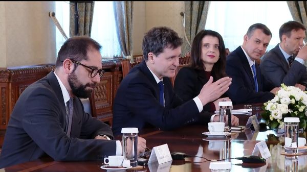 consultari palatul cotroceni