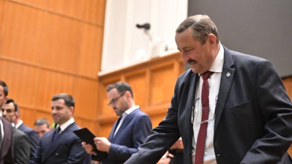 dan cascaval senator iasi