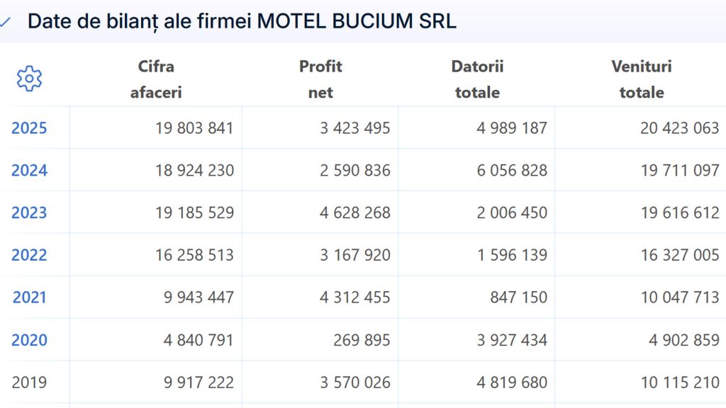 bilant 2025 firma vasile puscasu
