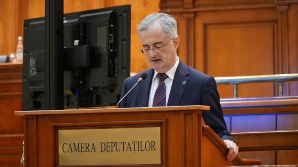 Gabriel Andronache PNL