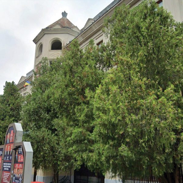 sediu psd iasi