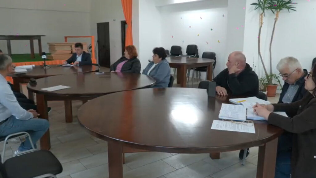 consiliul local mircesti
