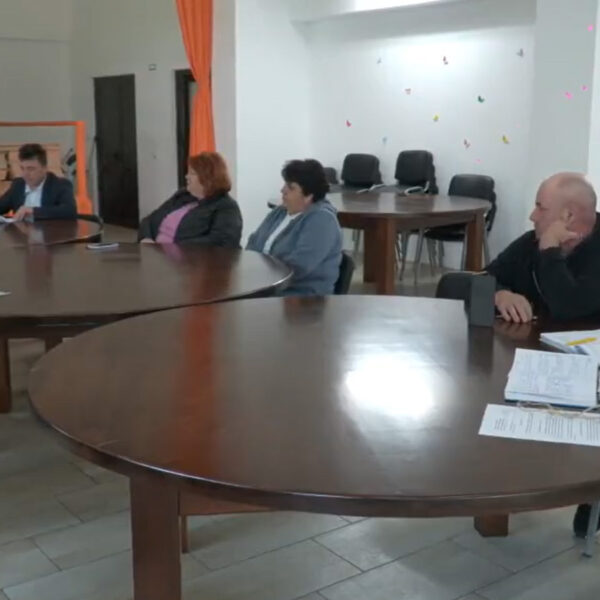 consiliul local mircesti