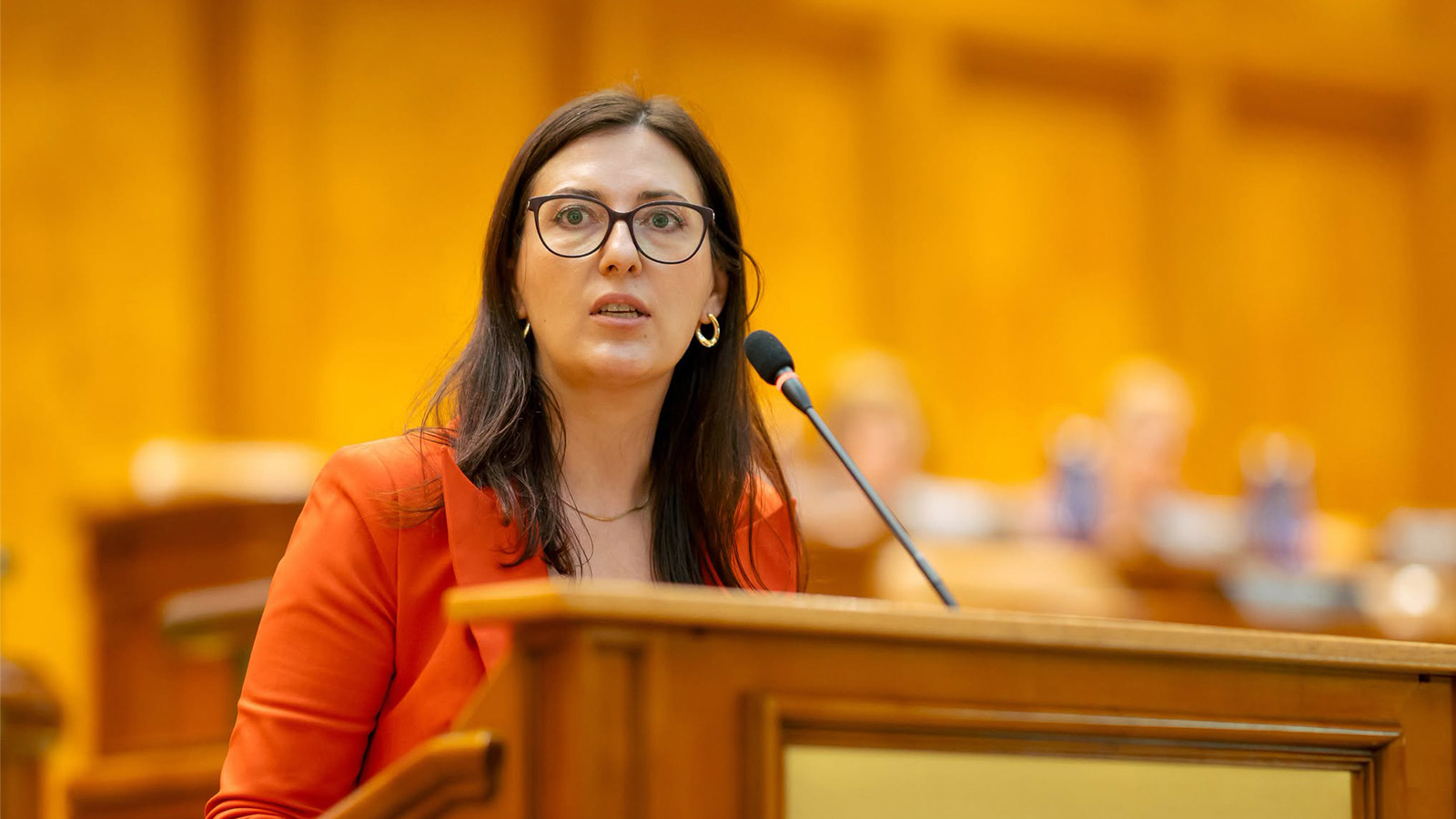 monica berescu deputat usr iasi