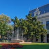 sediu primaria iasi